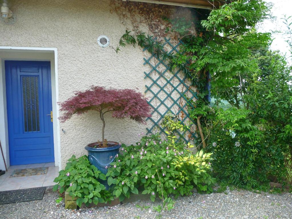 Bed and Breakfast Maison Artigouha à Loubieng Extérieur photo